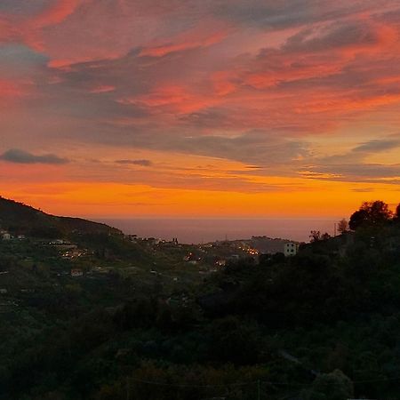 Il Nido Del Viaggiatore Vallebona Exteriör bild