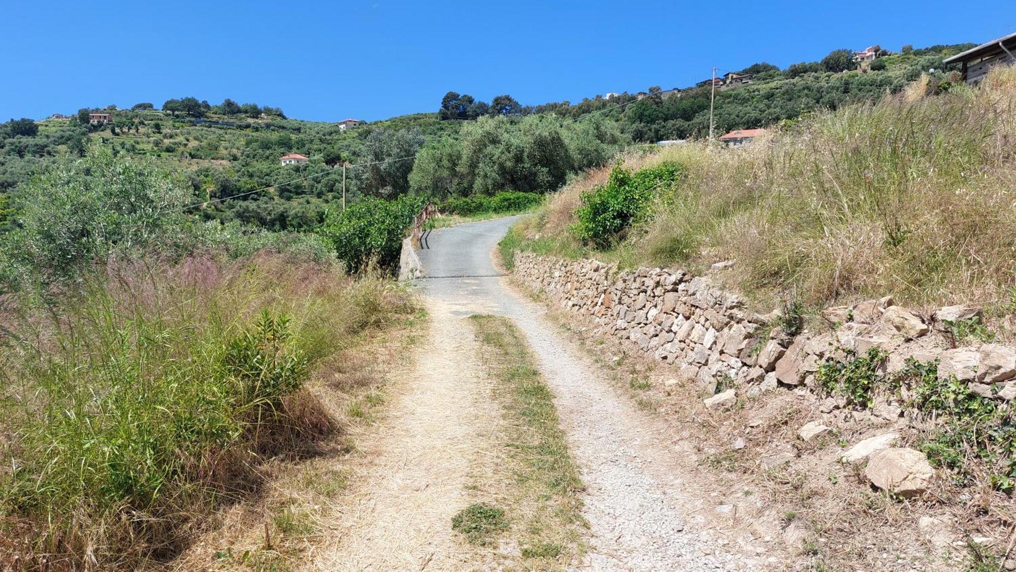 Il Nido Del Viaggiatore Vallebona Exteriör bild