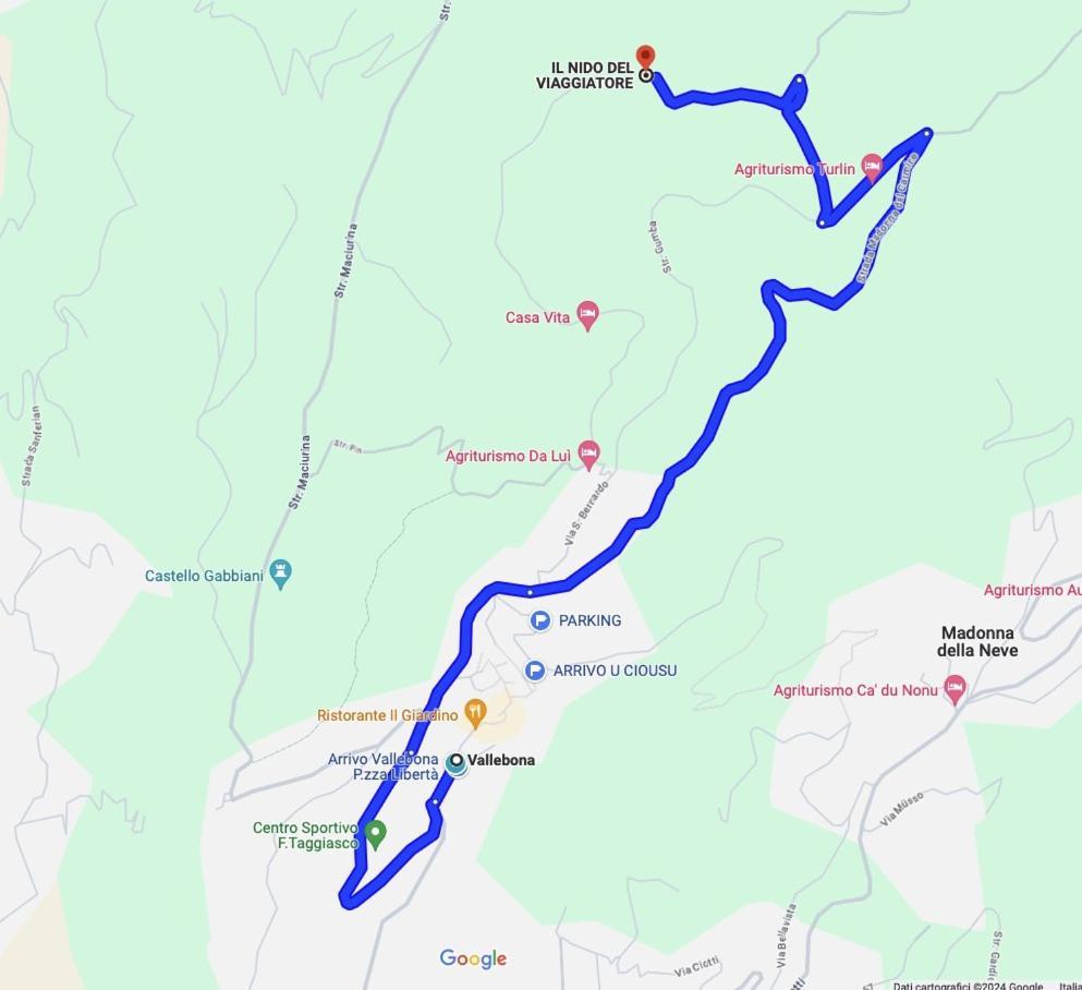 Il Nido Del Viaggiatore Vallebona Exteriör bild