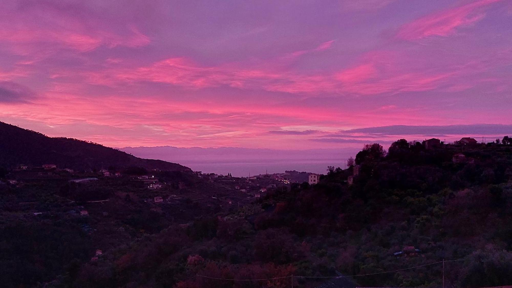 Il Nido Del Viaggiatore Vallebona Exteriör bild